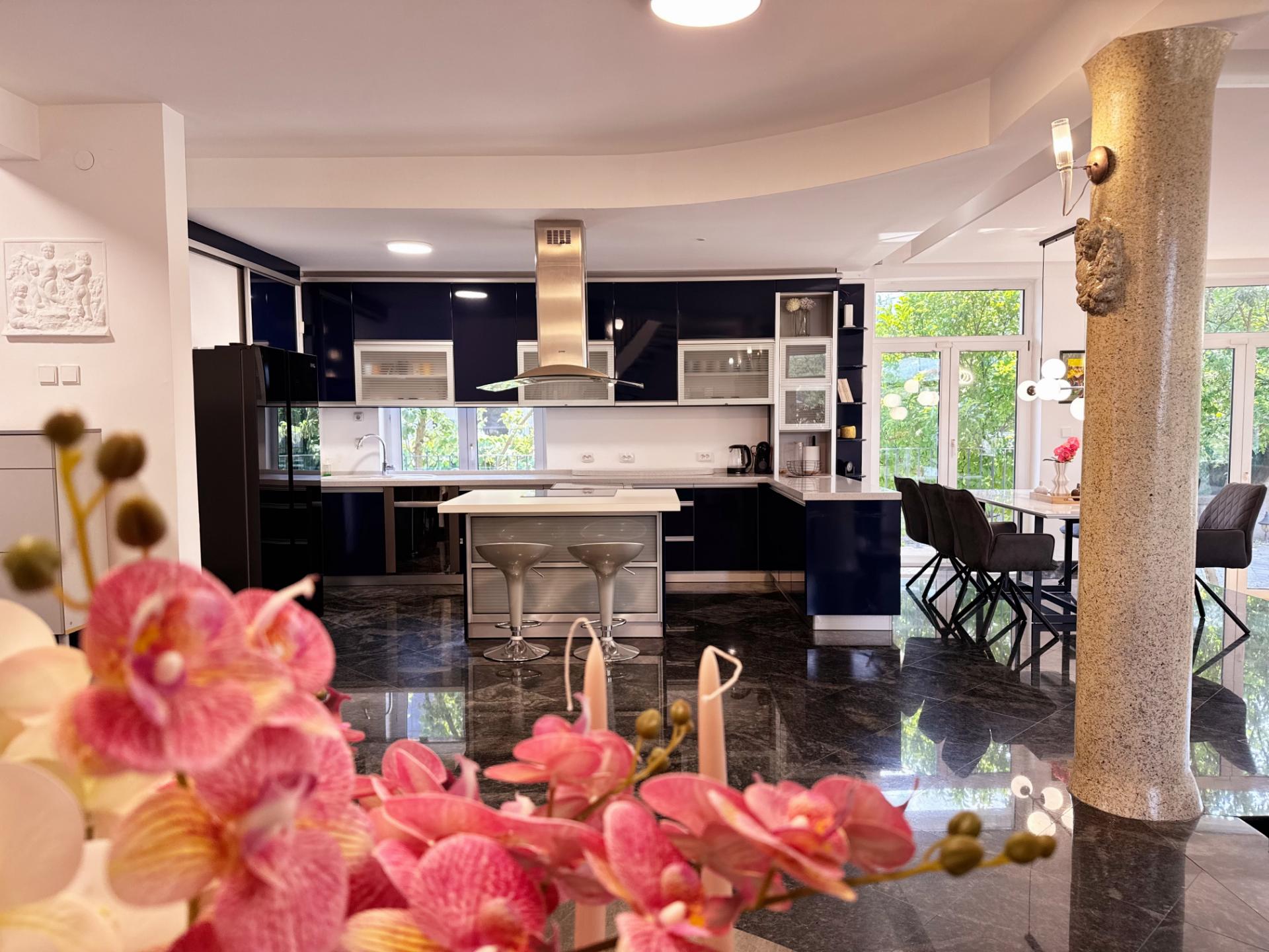 Kitchen and living area overlooking the garden